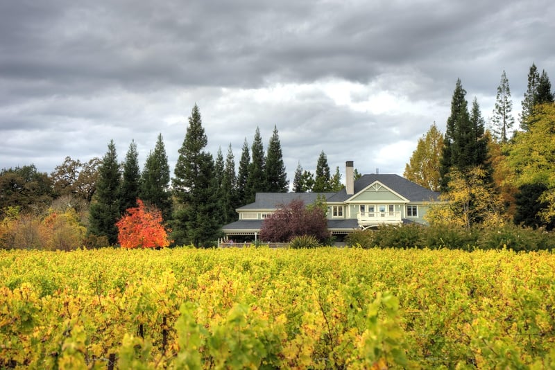 Opus One Winery, Napa Valley